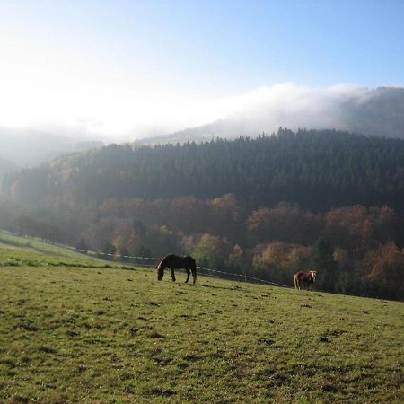 Ferienhaus Rhoenspass Mosbach  Kültér fotó
