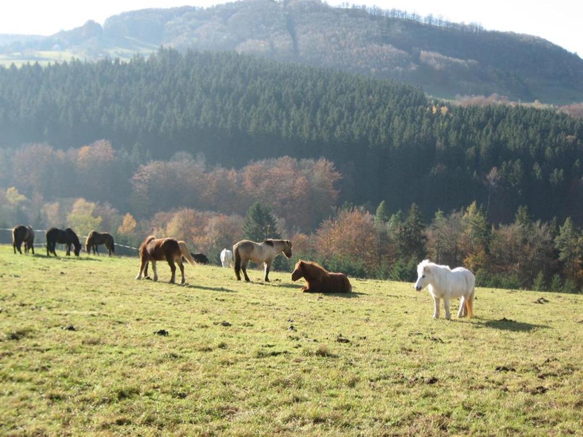 Ferienhaus Rhoenspass Mosbach  Kültér fotó