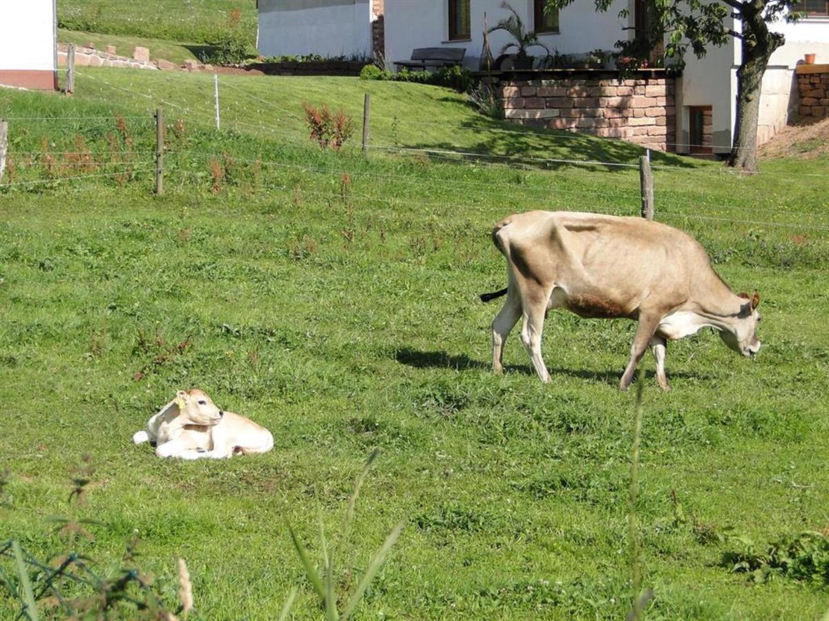 Ferienhaus Rhoenspass Mosbach  Kültér fotó