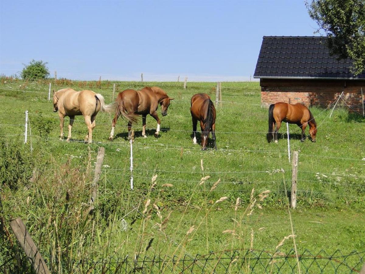 Ferienhaus Rhoenspass Mosbach  Kültér fotó